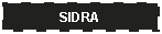 Cuadro de texto: SIDRA